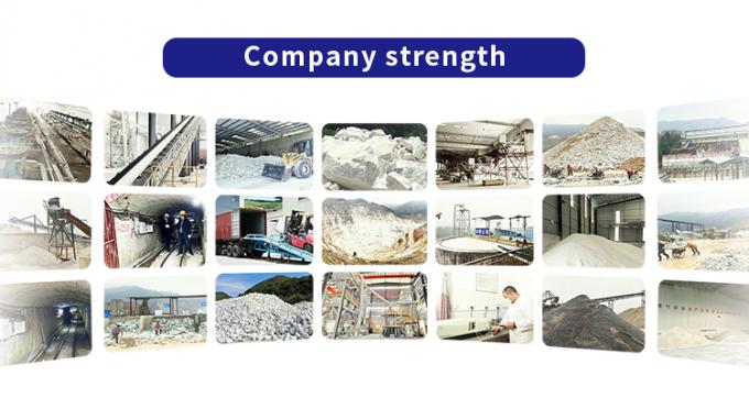 Guangdong XiMi New Material Technology Co., Ltd Visita a la fábrica