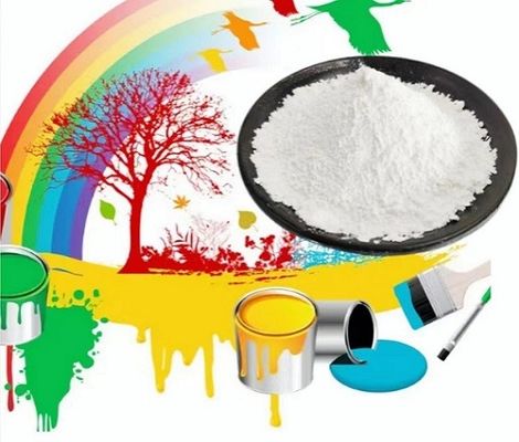 Polvo blanco 1250 de Mesh Talc Raw Material CAS No 14807-96-6